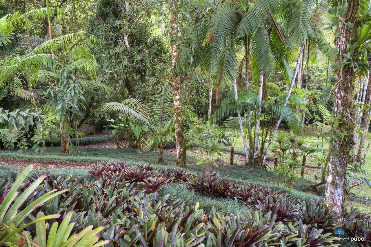 Estacion Biologica Las Cruces Y Jardin Botanico Wilson San Vito Extérieur photo