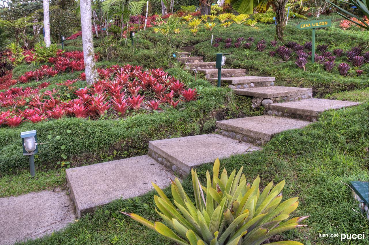 Estacion Biologica Las Cruces Y Jardin Botanico Wilson San Vito Extérieur photo