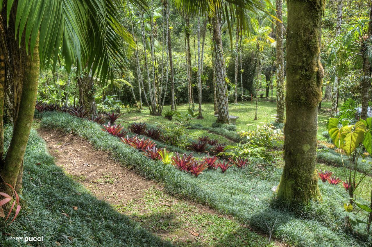 Estacion Biologica Las Cruces Y Jardin Botanico Wilson San Vito Extérieur photo
