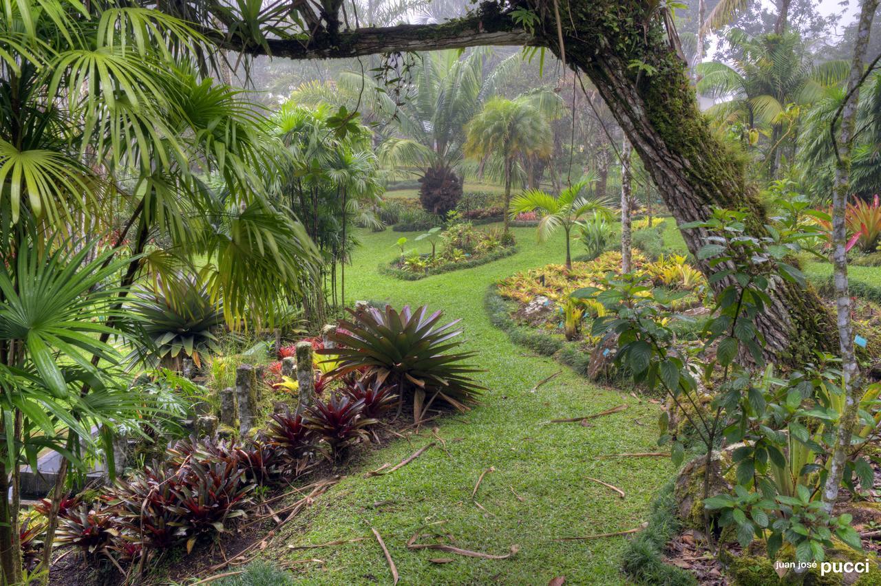Estacion Biologica Las Cruces Y Jardin Botanico Wilson San Vito Extérieur photo